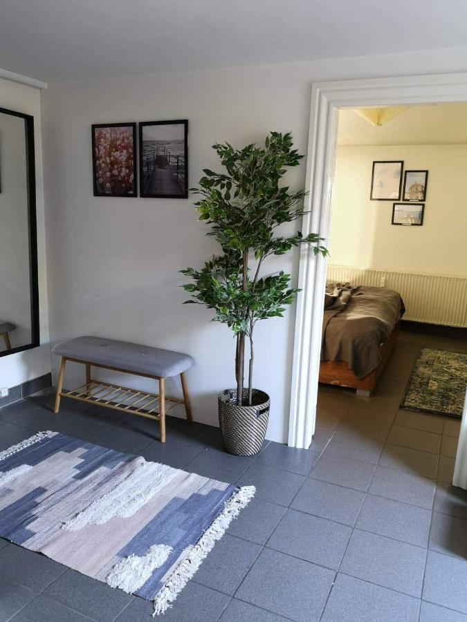 Spacious Cellar Apartment ビズオウア エクステリア 写真
