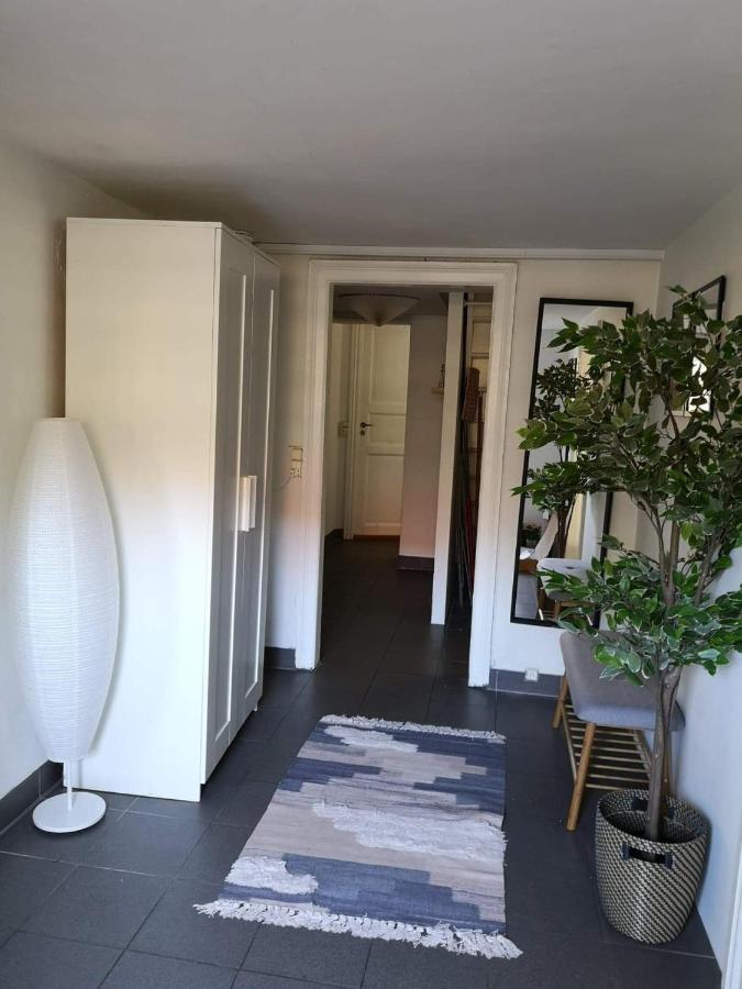 Spacious Cellar Apartment ビズオウア エクステリア 写真