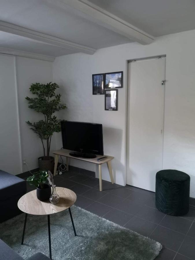 Spacious Cellar Apartment ビズオウア エクステリア 写真