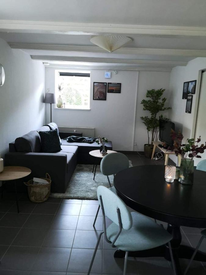 Spacious Cellar Apartment ビズオウア エクステリア 写真